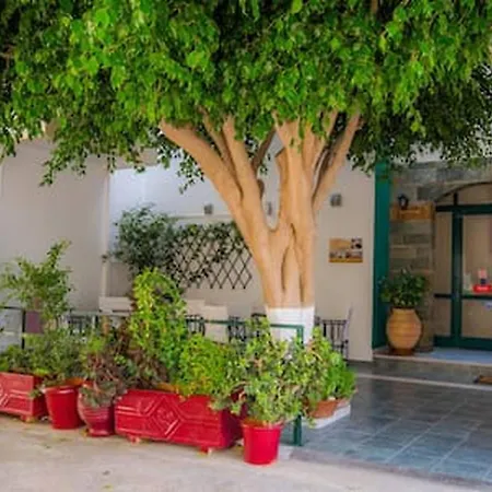 Апартаменти Hello Golden Sun Center Apts